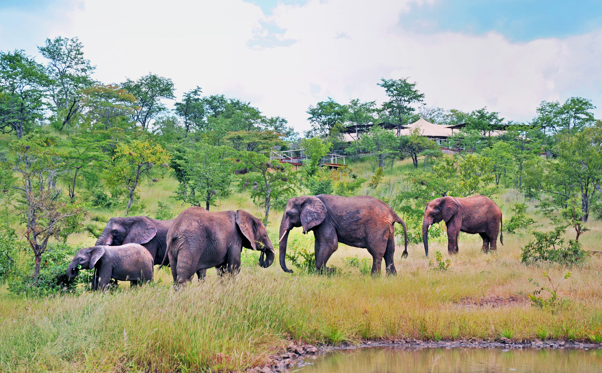 The Elephant Camp Victoria Falls Exterior photo